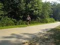 alpharetta