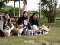 videos de MVI 0412