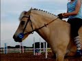 My horse. My horse.