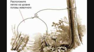 Как сделать капканы из подручных средств