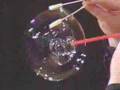 Soap Bubble Artist