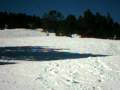 pi�os snow
