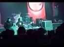 Finch - Grey Matter