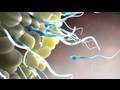 EPIC 3d Medical Animation - Nucleus 2010 demo