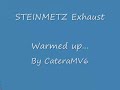 STEINMETZ Exhaust on my Opel Omega / Catera
