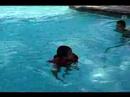 JD swimming JD swimming