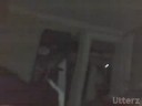Alien Caught On Tape