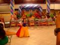 videos de marcely