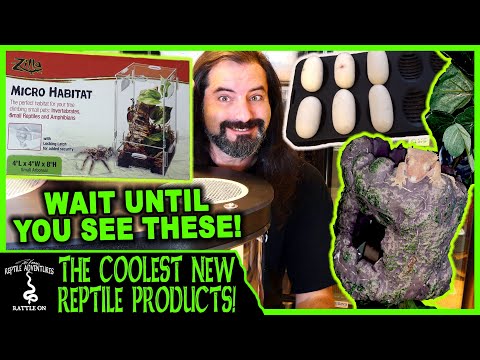 YouTube reptile video