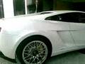New Lamborghini Lp560