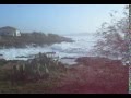 videos de boat trip pier.mpg