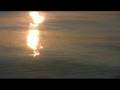 Voices The Gaze of God