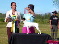 Tercera Exhibici�n Especializada de Fox terrier Chileno 2006