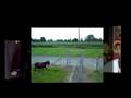 videos de Mont St Michel
