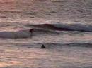 Sunset and Surfing in Pacific Beach San Diego #1