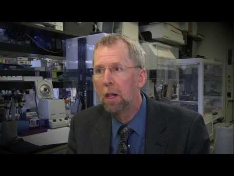 Eric Green - April 12, 2013 - Interview with NHGRI Director Eric Green on the 10th anniversary of the Human Genome Project completion. More: http://www.genome.gov/hgp10/