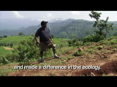 One Million Trees For Ethiopia