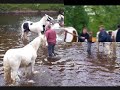 Danni n eloises appleby fair video