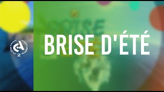 Brise d'été  l  01-08-2025
