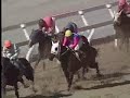 平成15年6月3日第4回上山競馬5日目　第１０競走（タニノミストラル勝利※10歳馬セントアトラスが健闘）