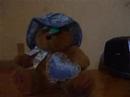 the bear family helps zanybear