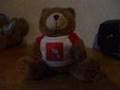 The Bear Family Helps Zanybear