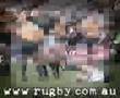 Stephen Larkham wallabies