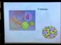 Viral structure part 1 (5min)