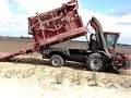 this is video of the new case cotton picker that produces its own modules without the need for module builders