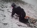 Funny Sledding Funny Sledding