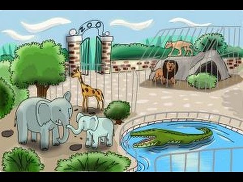 how to draw easy zoo animals