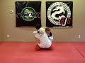 Guillotine Counter (Defence): Pry