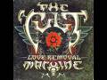 videos de The Cult - Love Removal Machine.wmv