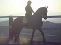 Remmelo tiene solo 2 Años y 8 Meses y esta tan noble, educado y cariñoso. Lo estamos montado solo 4 Vezes y el Caballo aprende andar, trottar y parrar solo por la Voz. Una verdadera Joya de Caballo con una impresionante Altura y mucha Belleza y Elegancia. Un futuro Campeón en el Deporte. De esto estamos seguros. Muy buenos Papeles con 2. Premio.Still a Baby 2 Years 8 Month old and so noble, sweet and carm. We still ride him 4 times and he learns so quickly. Walking, Trotting and stoping just by Voice. A real Diamant, incredible pretty and tall. A future Dressagechamp. We are sure. Best Papers with 2nd. Premium. (more)