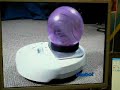 hamster-fight.html