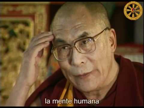 how to meditate dalai lama