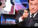 Colbert Kitten