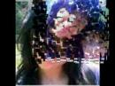 seni �ok sevmi?tim b�?ra
