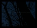 thedoginthewood.flv