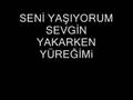 seni seviyorum