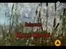 Witcher - real 4 Witcher - real 4
