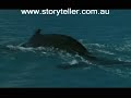 Part 1 BITL WhaleSong