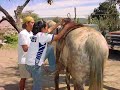 Caba�a