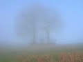 Un paseo por las nubes