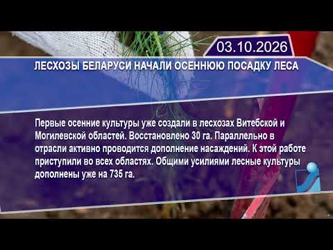 Новостная лента Телеканала Интекс 03.10.26.
