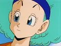 everywhere vegeta and bulma