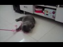 b_video_080823