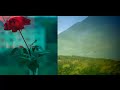 Tibetan  Song Milam Nangi Bumo Phurbu T. Namgyal Love Story