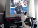 Slake likes to watch TV Slake likes to watch TV