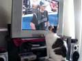 Slake likes to watch TV